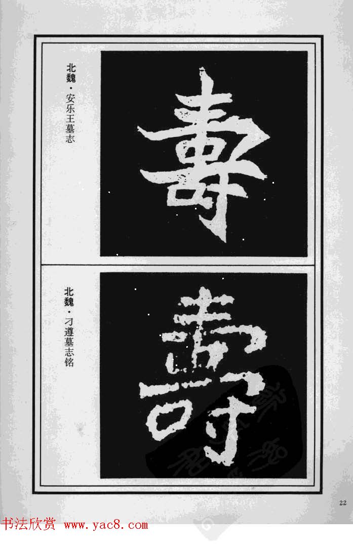 鷨漣鷨ר