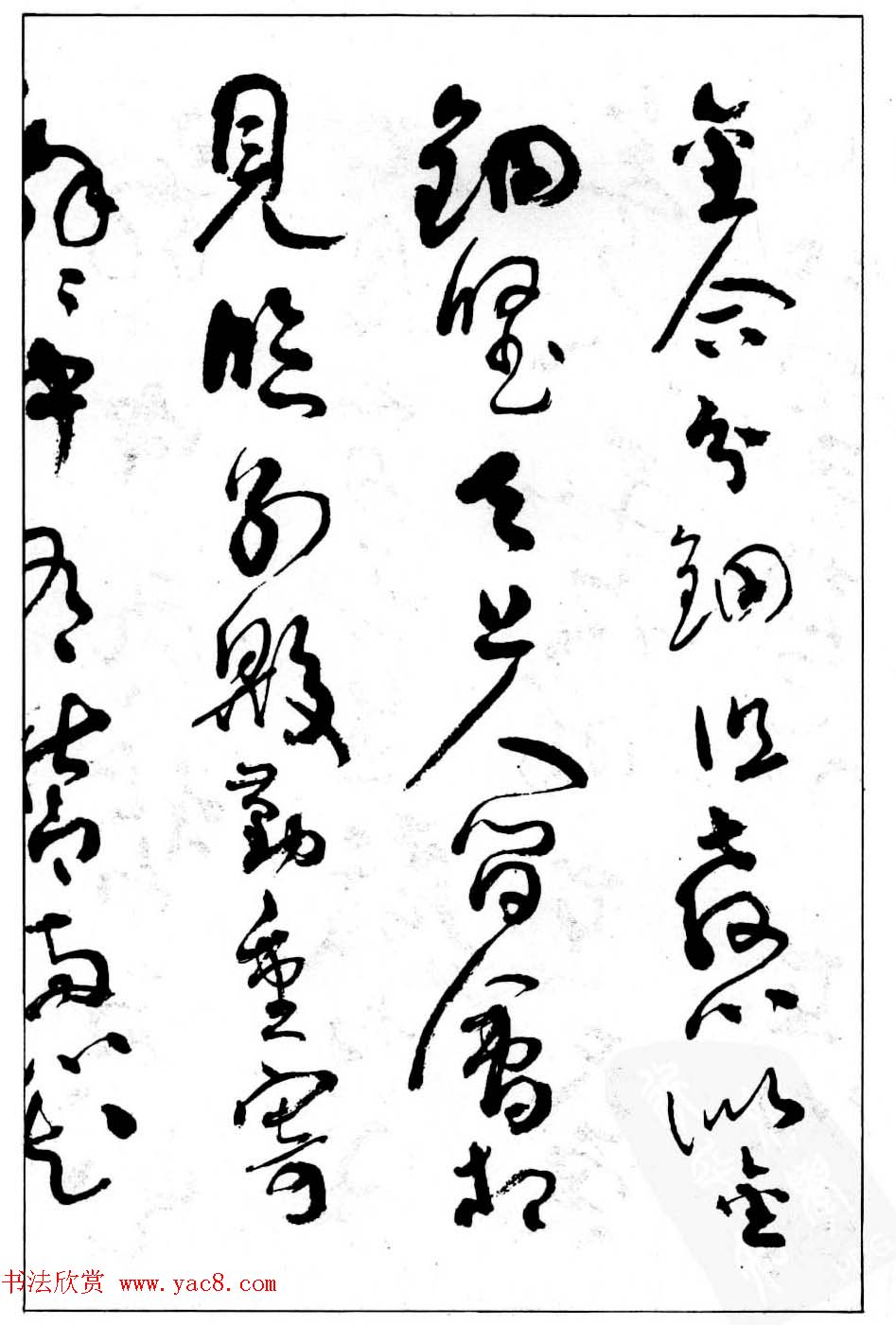 в鷨͡׾׳޸衷
