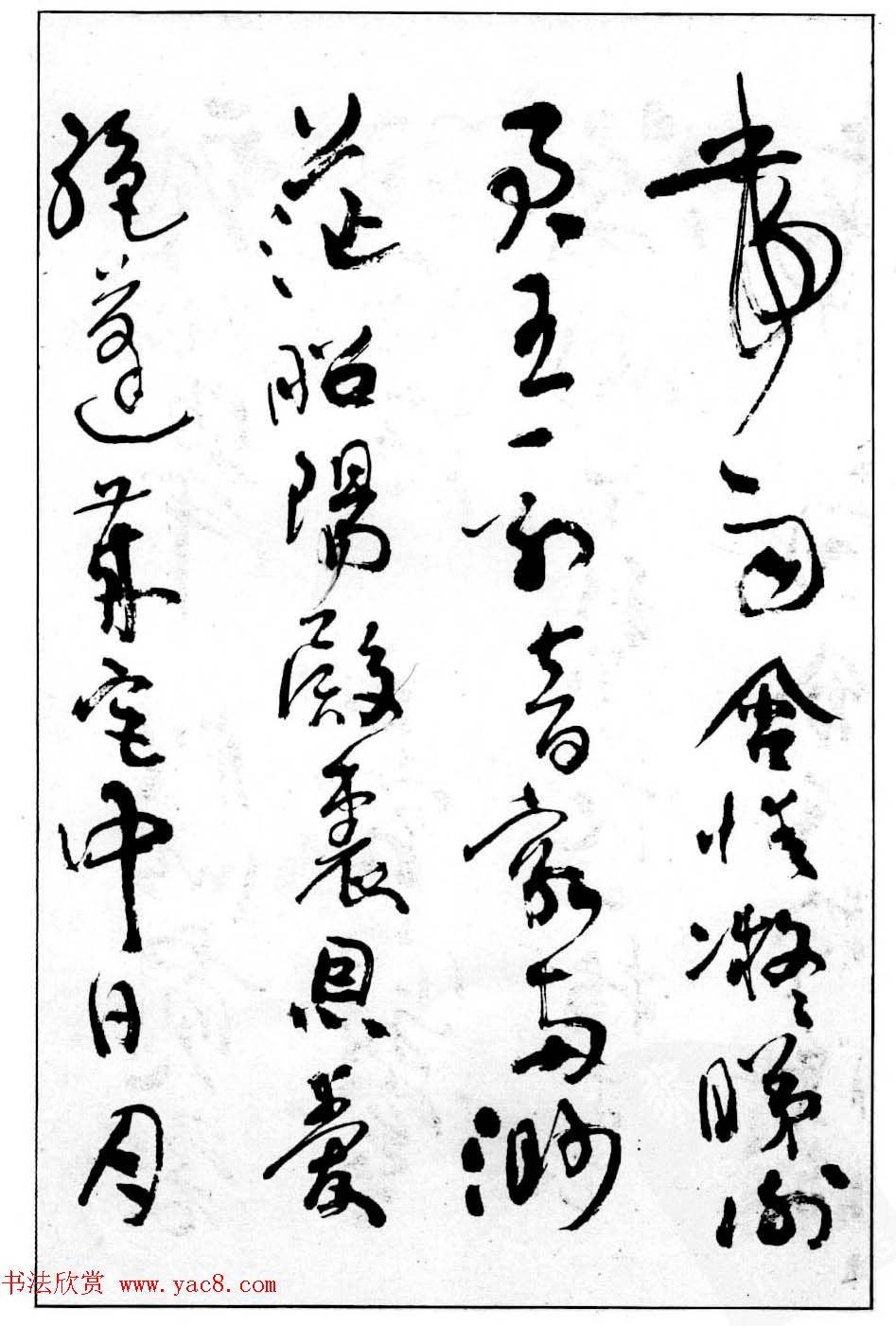в鷨͡׾׳޸衷
