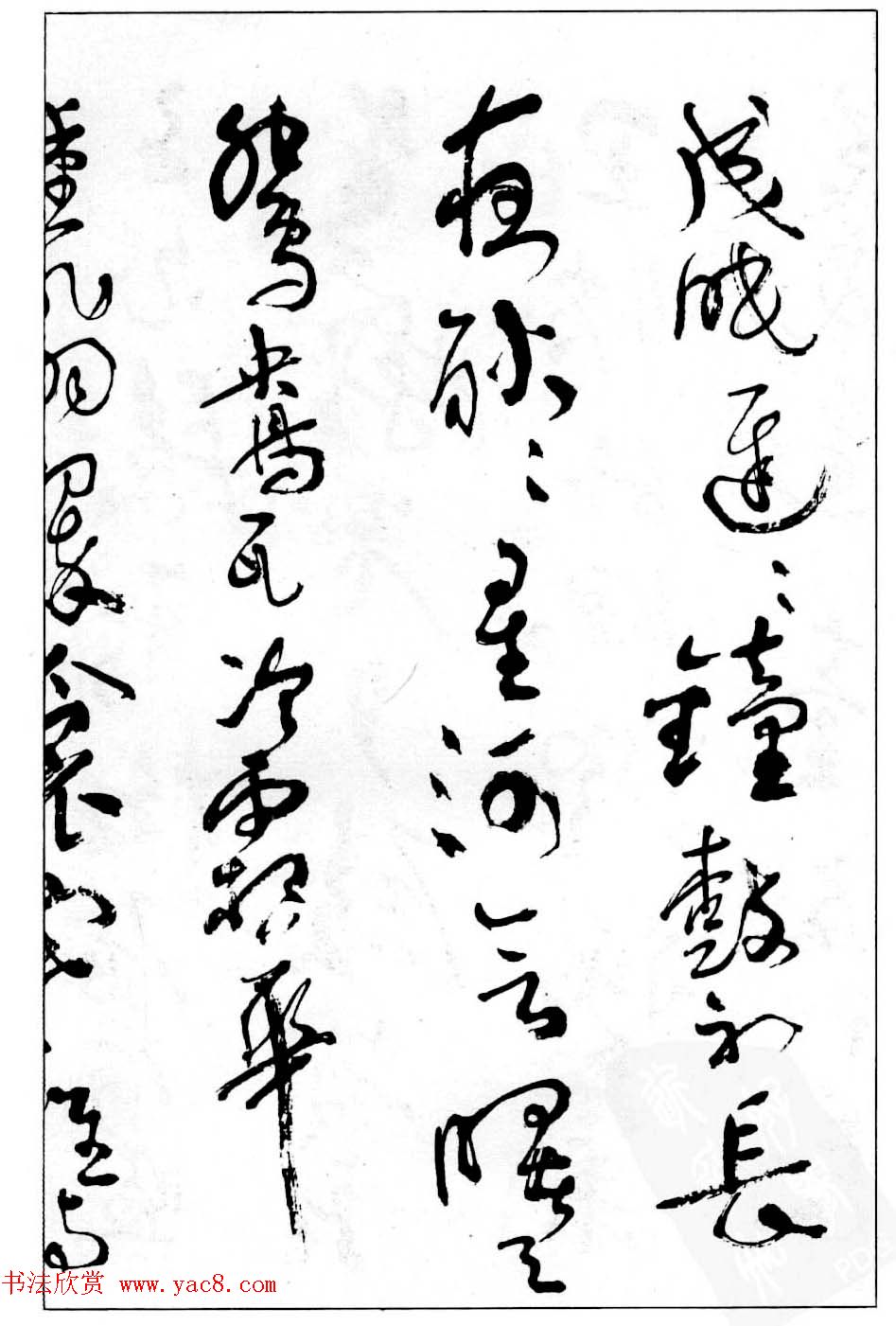 в鷨͡׾׳޸衷