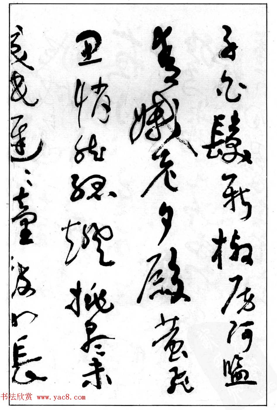 в鷨͡׾׳޸衷