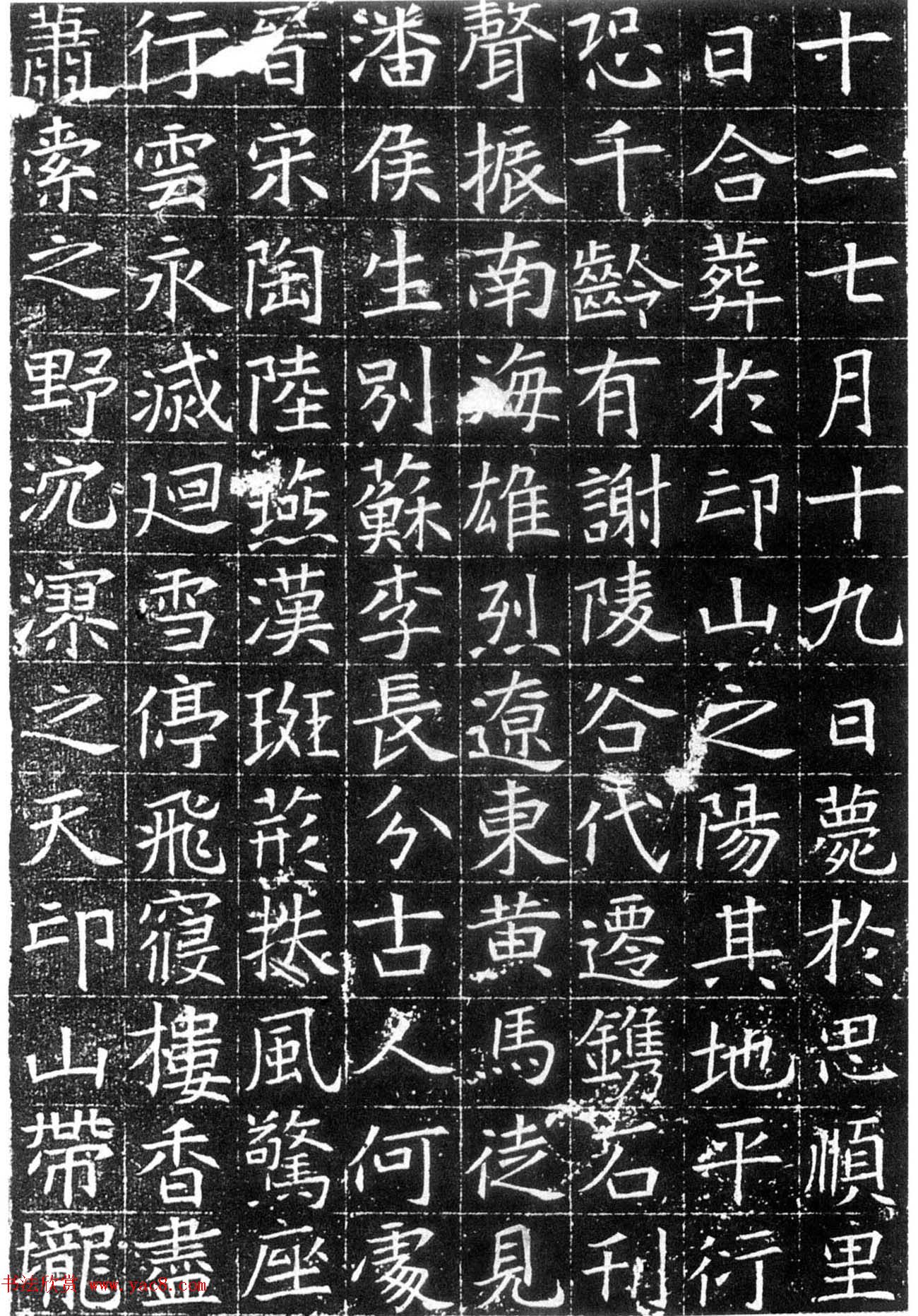 鷨ʯ͡Ĺ־