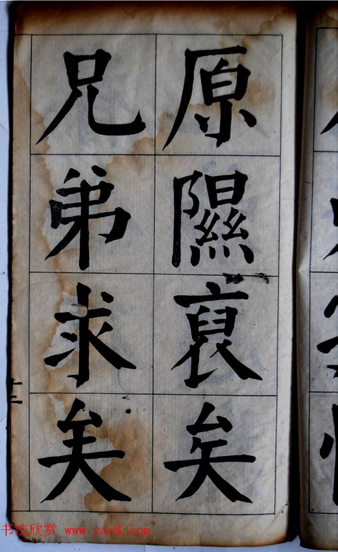 ٲ鷨͡ſᡷ