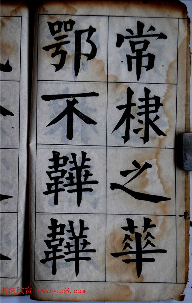 ٲ鷨͡ſᡷ