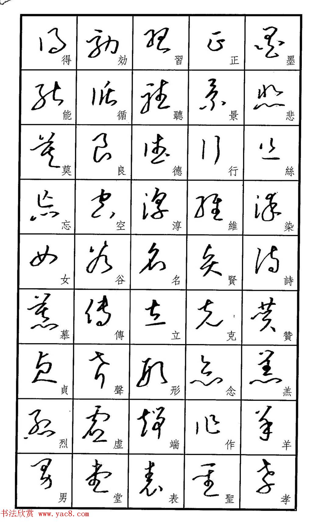 梧桐钢笔书帖标准草书范字2