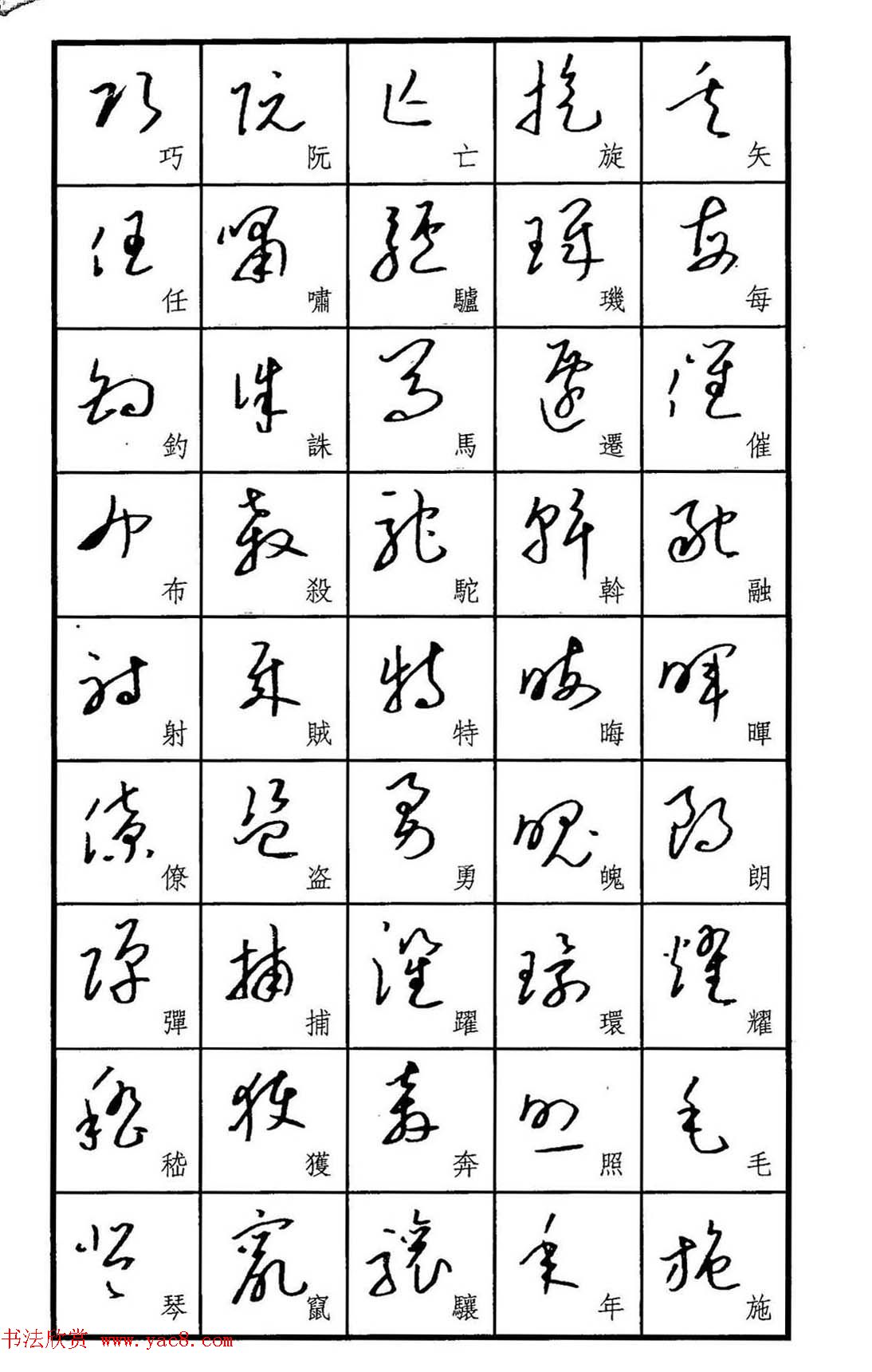 梧桐钢笔书帖《标准草书范字》(6)