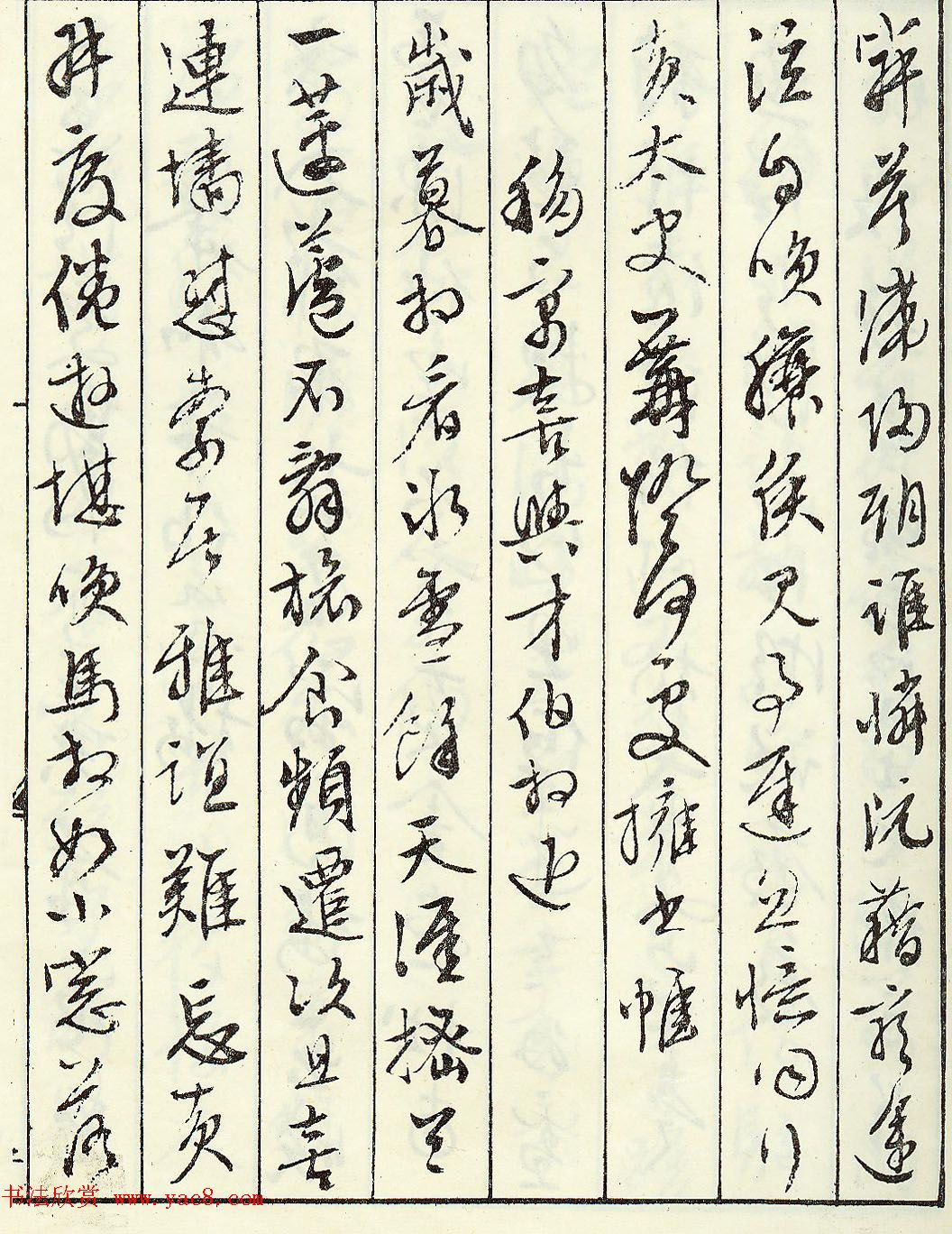 鷨伣ۡʫ