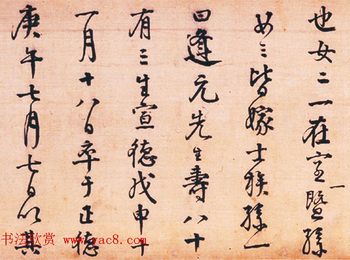 ����������鳤��������Ĺ������