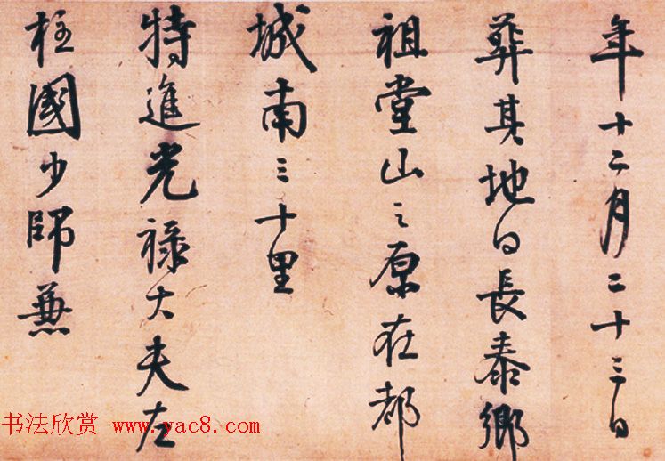 ����������鳤��������Ĺ������