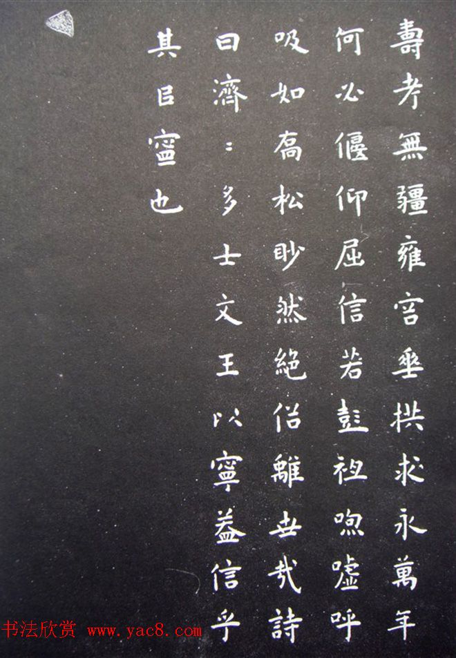 С鷨ʥͳ̡