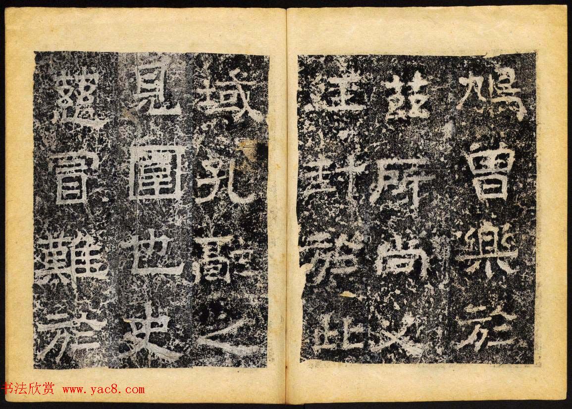 鷨ʯ͡ٻ񱮡ϲ