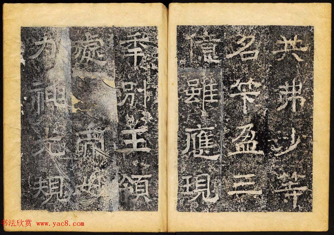 鷨ʯ͡ٻ񱮡ϲ