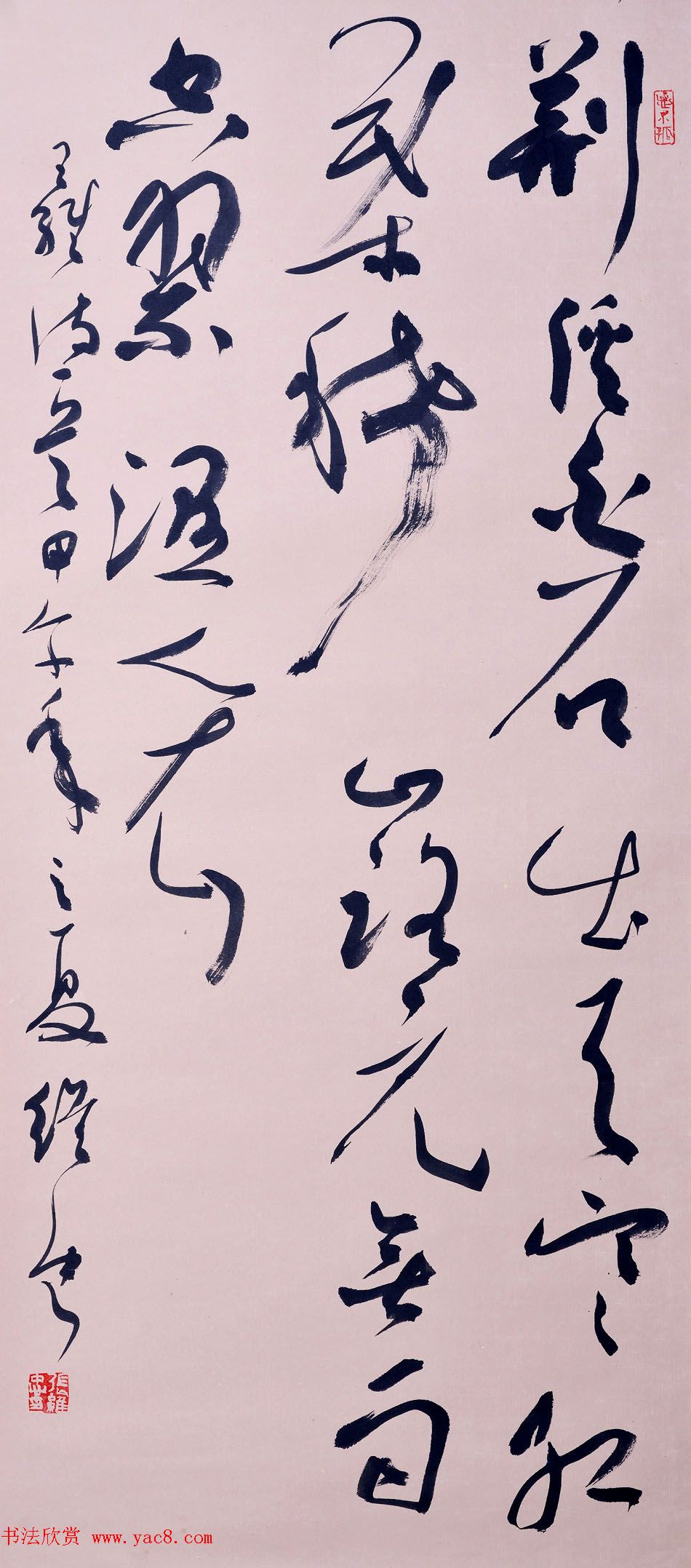 վУά鷨Ʒ