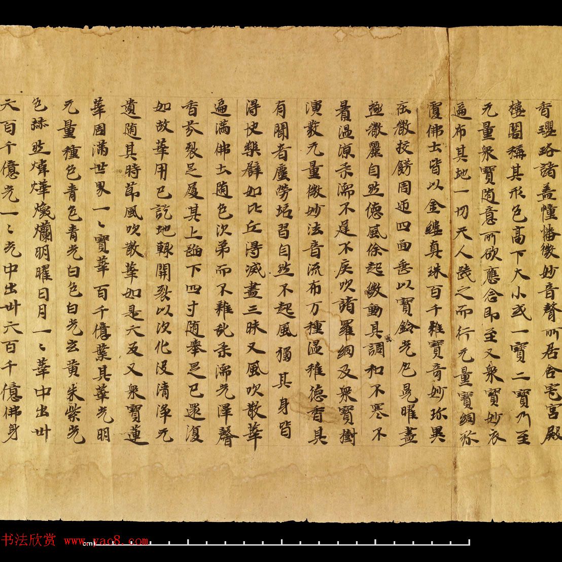 ػ顶پϡձ
