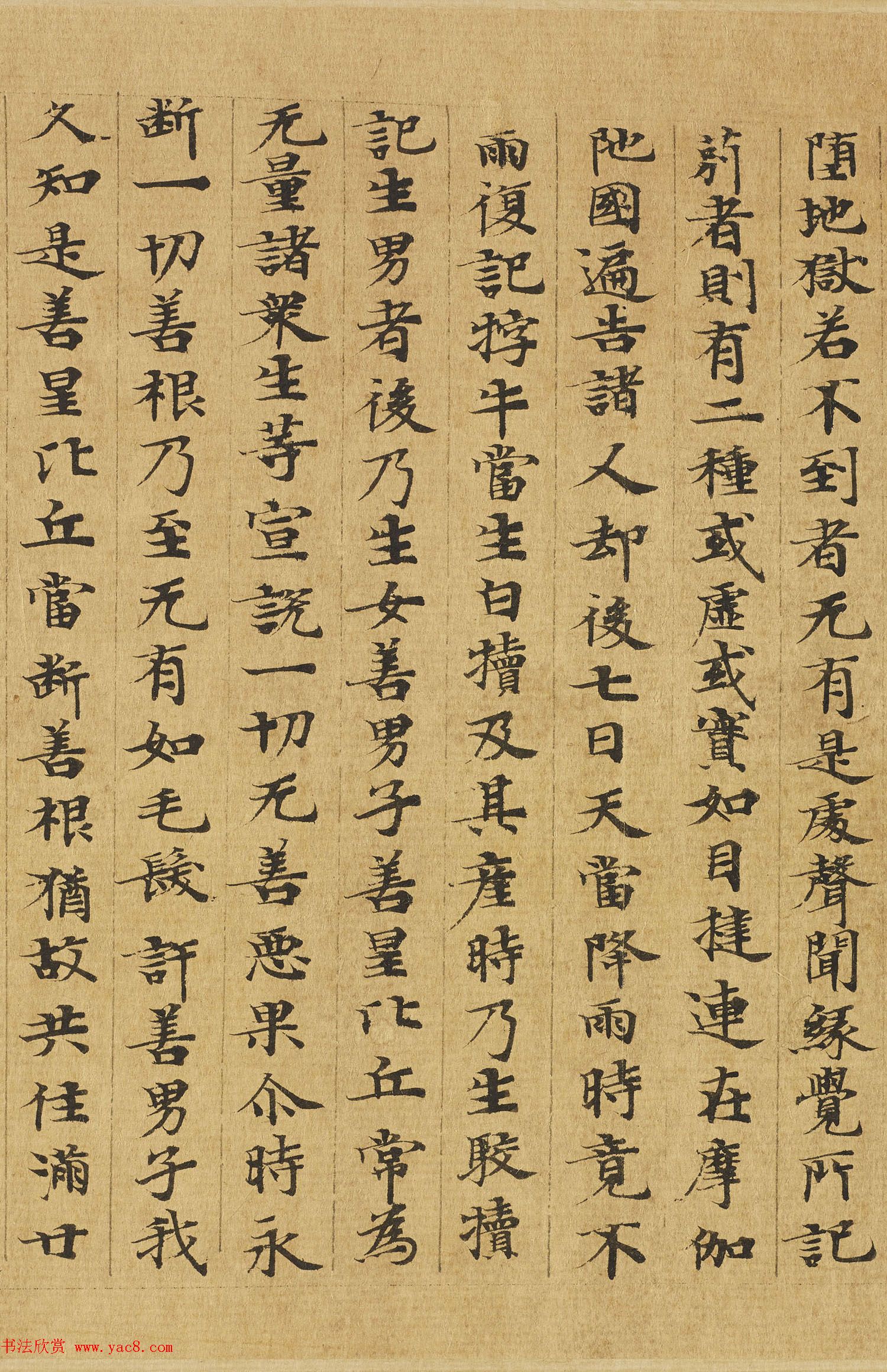 楷书高清大图欣赏《大般涅槃经迦叶菩萨品第十二》