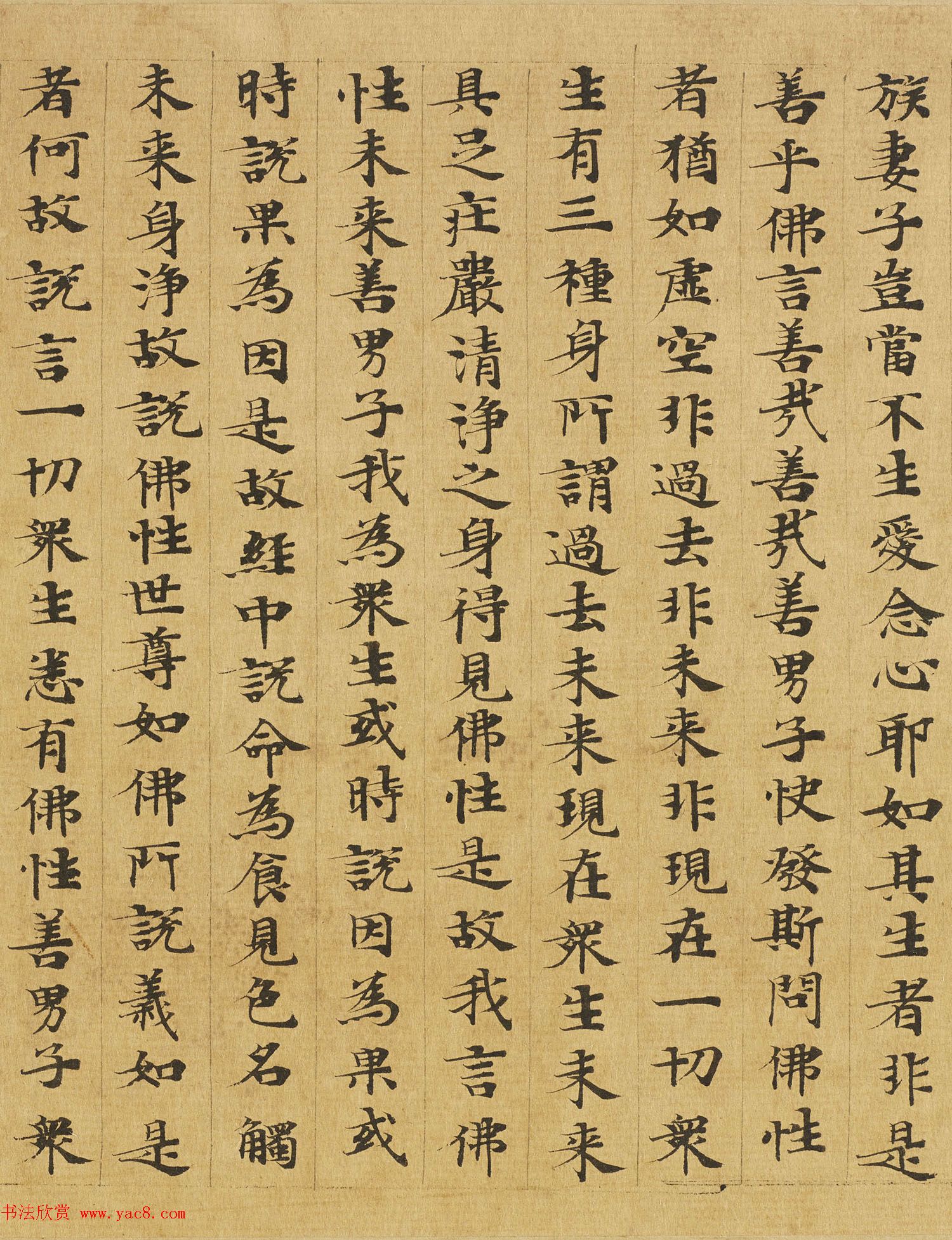 楷书高清大图欣赏《大般涅槃经迦叶菩萨品第十二》