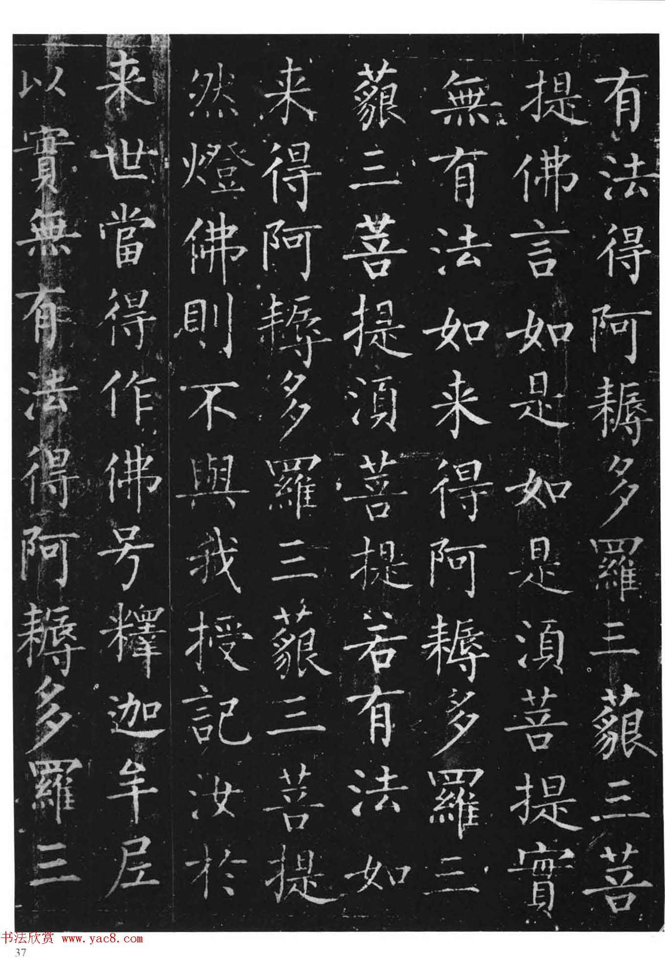 忬Ȩվ