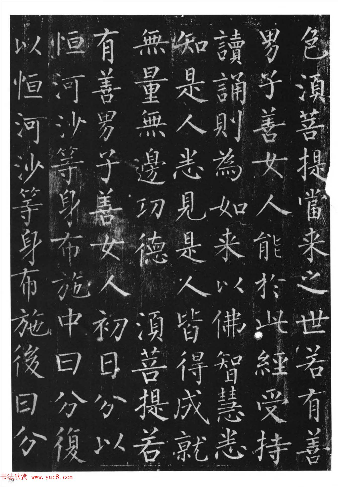 忬Ȩվ