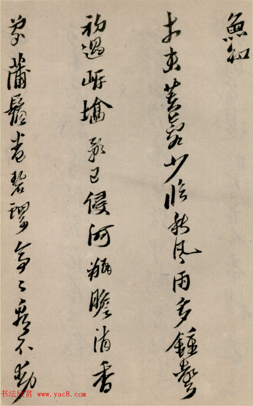 Ƶв鷨͡ϴʫ