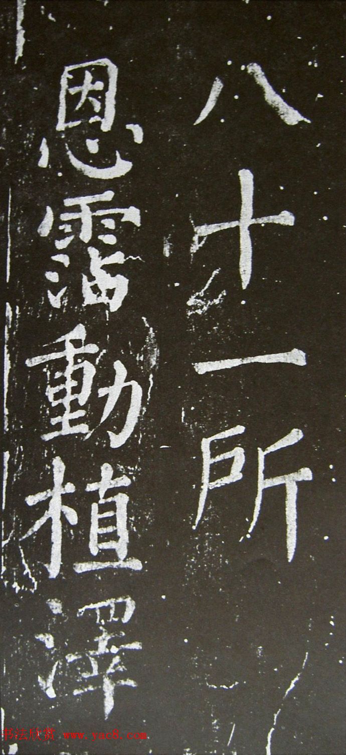 俬ر·ر