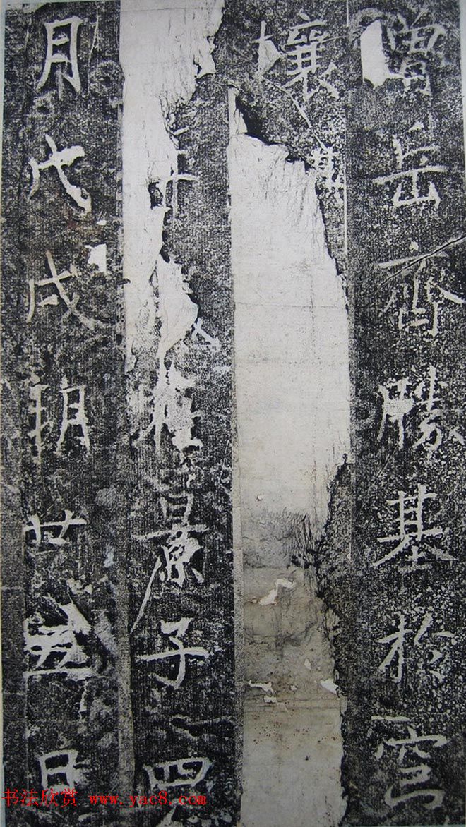 ƴ顶ϼ