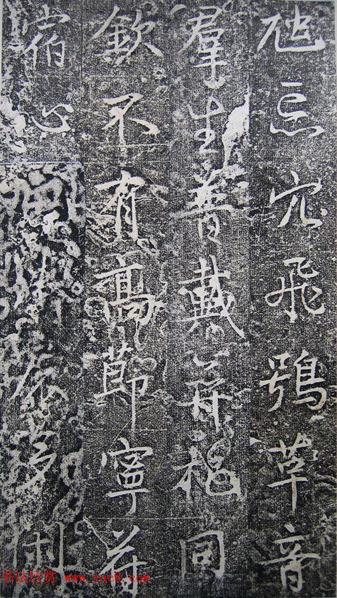 ƴ顶ϼ