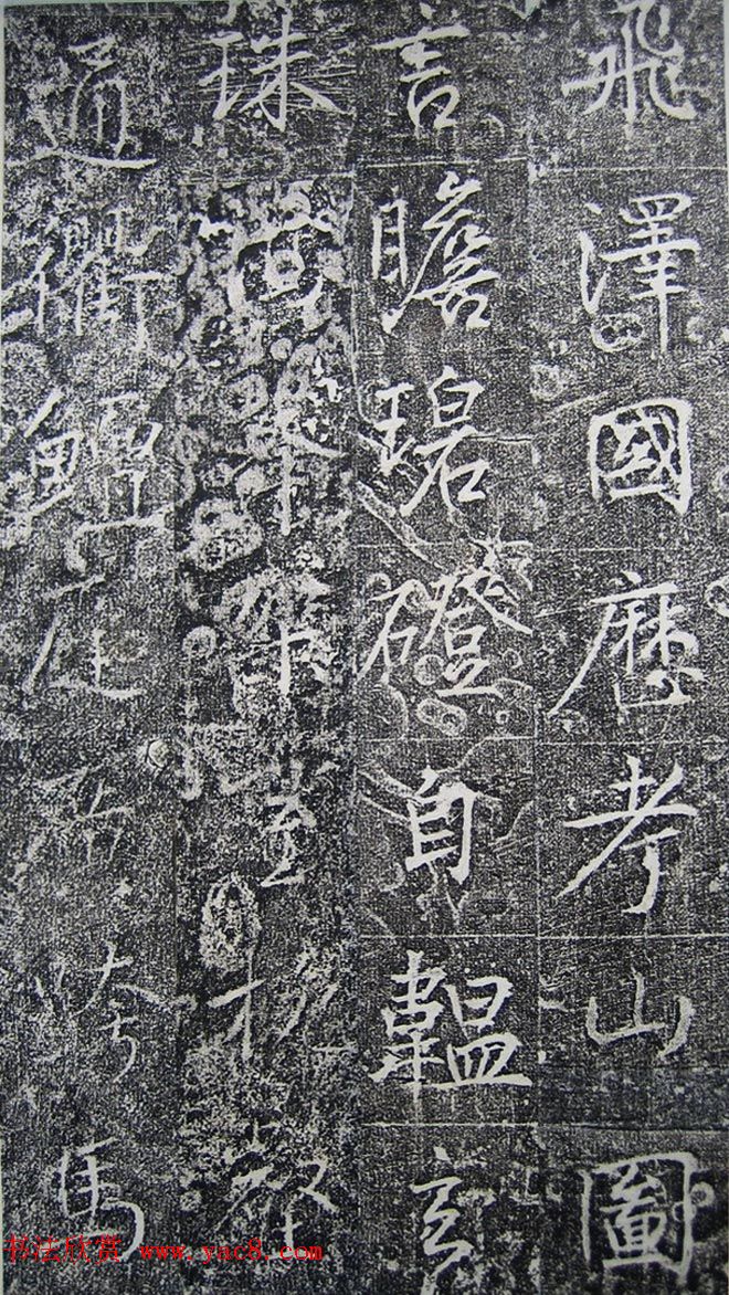 ƴ顶ϼ