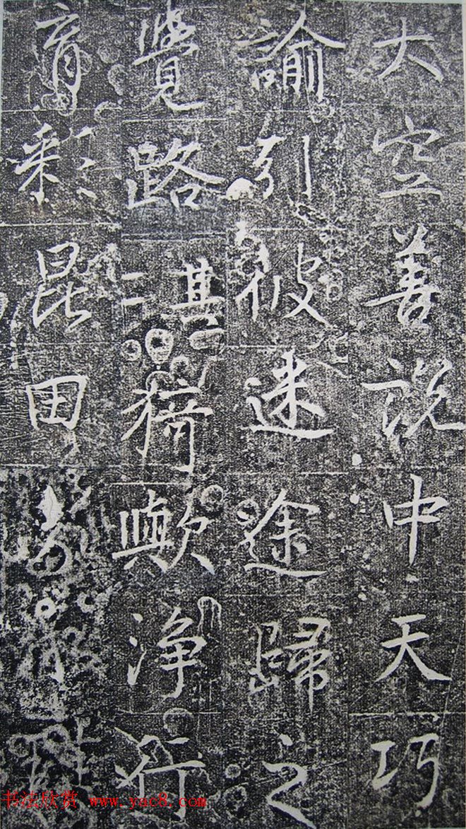 ƴ顶ϼ