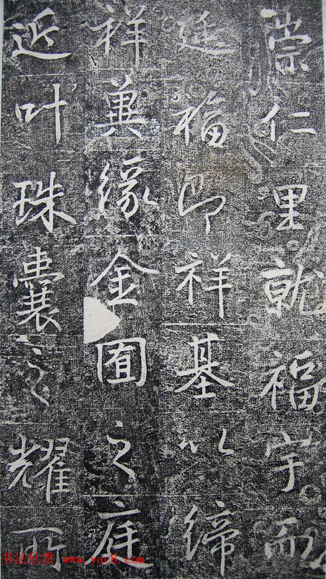 ƴ顶ϼ