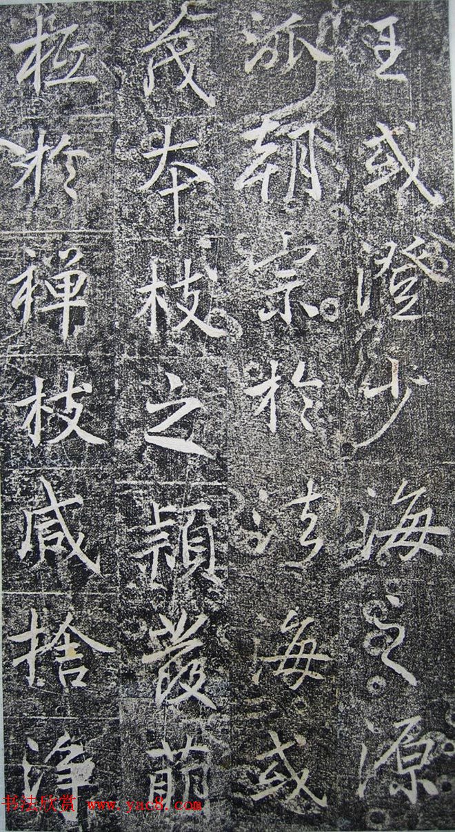 ƴ顶ϼ