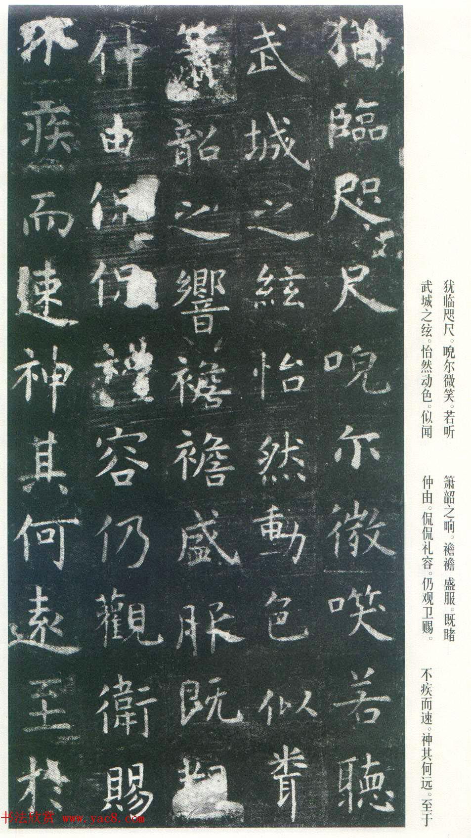 Ͽ顶ñر_ձ