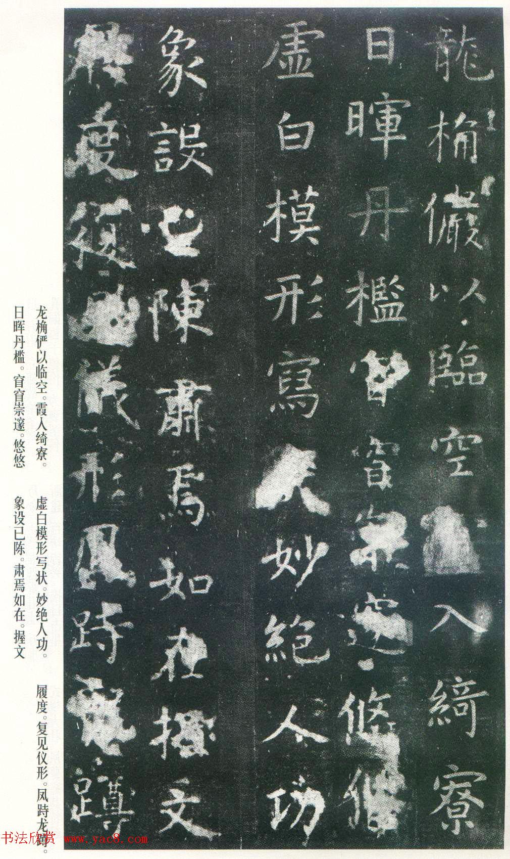 Ͽ顶ñر_ձ
