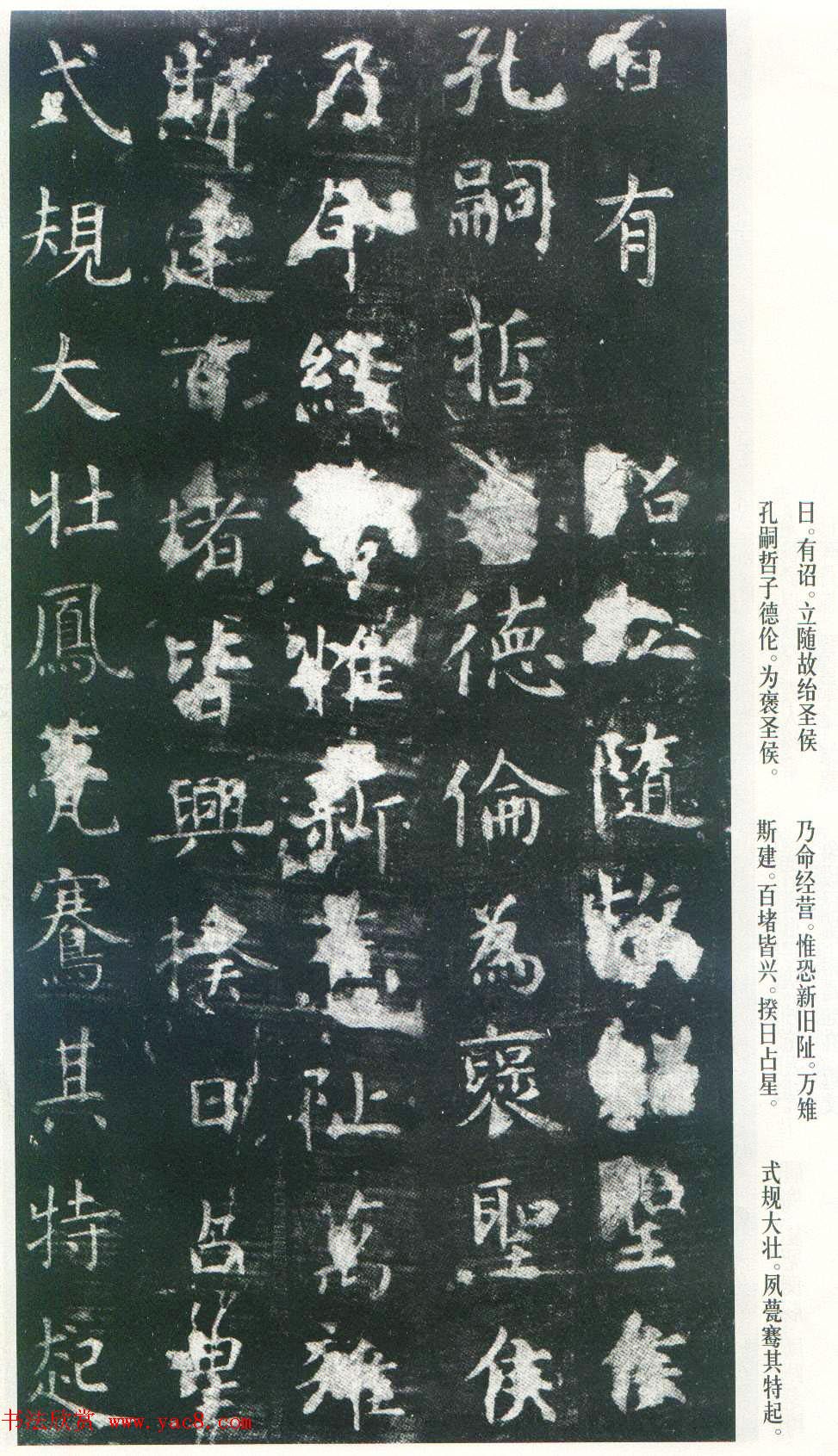 Ͽ顶ñر_ձ