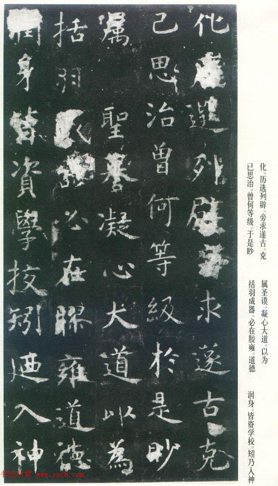 Ͽ顶ñر_ձ