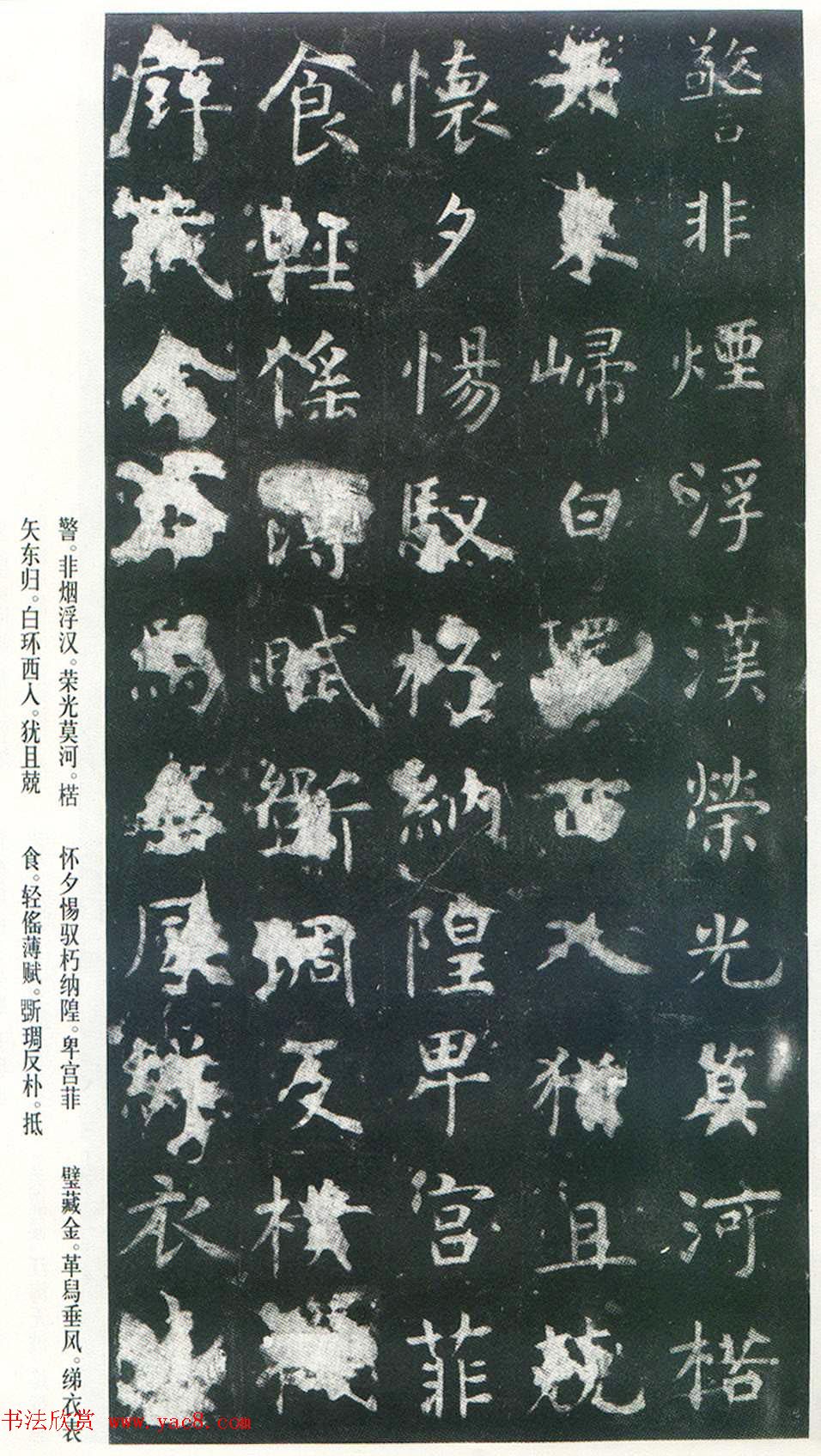 Ͽ顶ñر_ձ