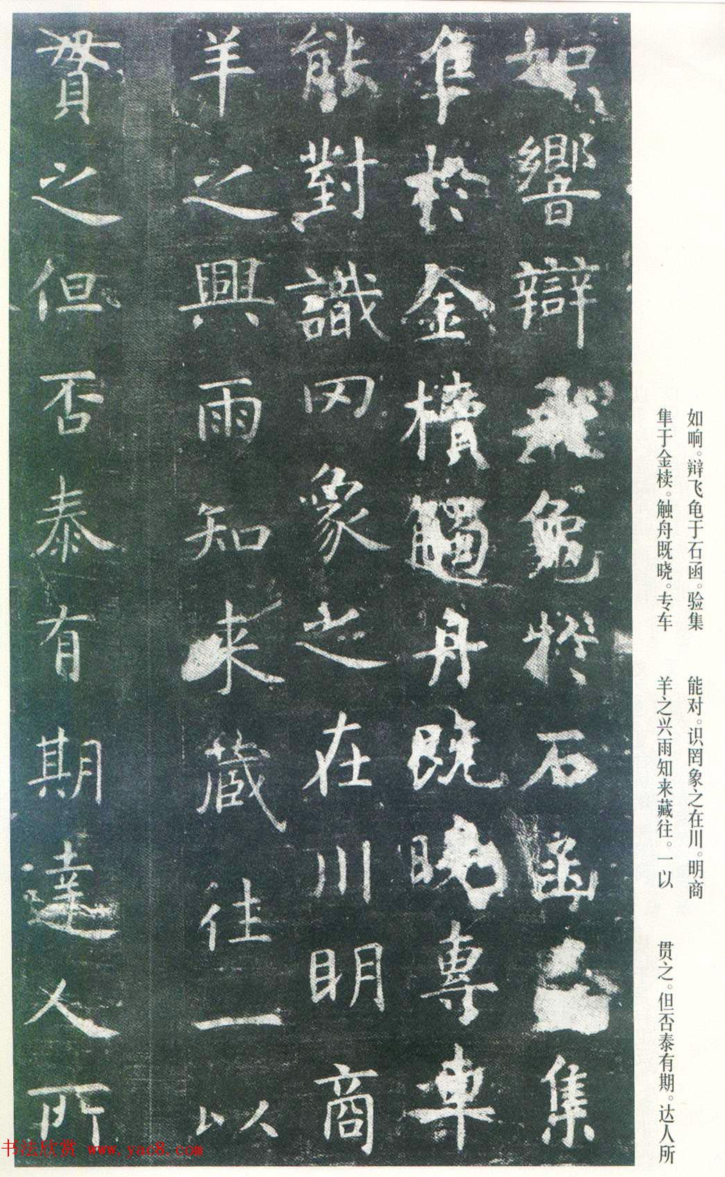 Ͽ顶ñر_ձ