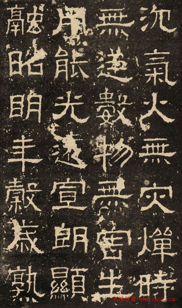 鱮̡ʯ