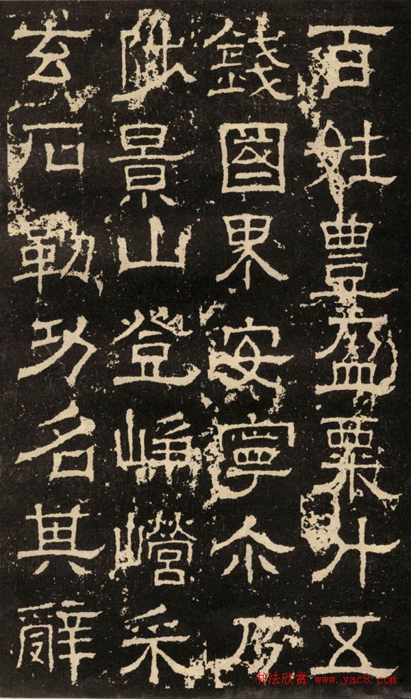 鱮̡ʯ