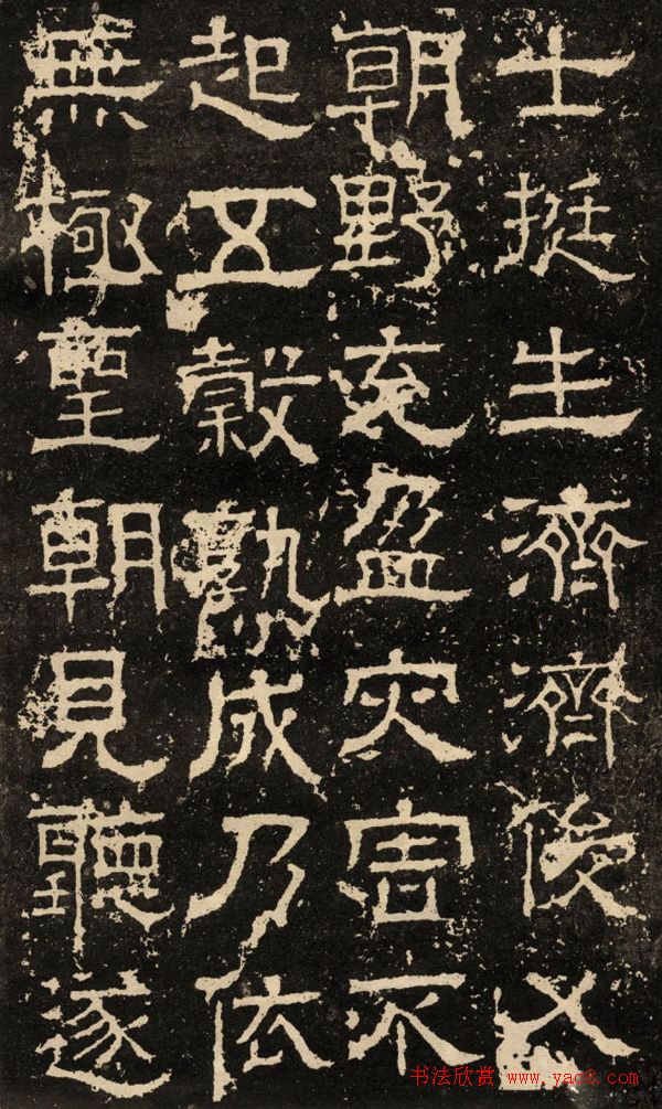 鱮̡ʯ