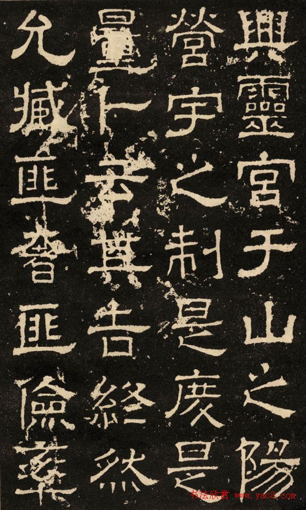 鱮̡ʯ