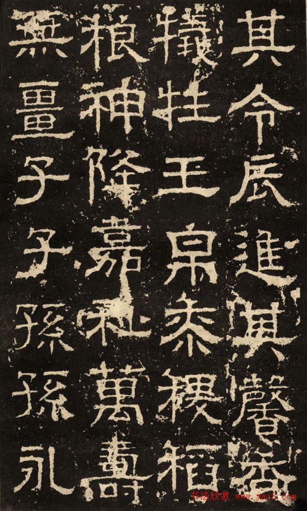 鱮̡ʯ