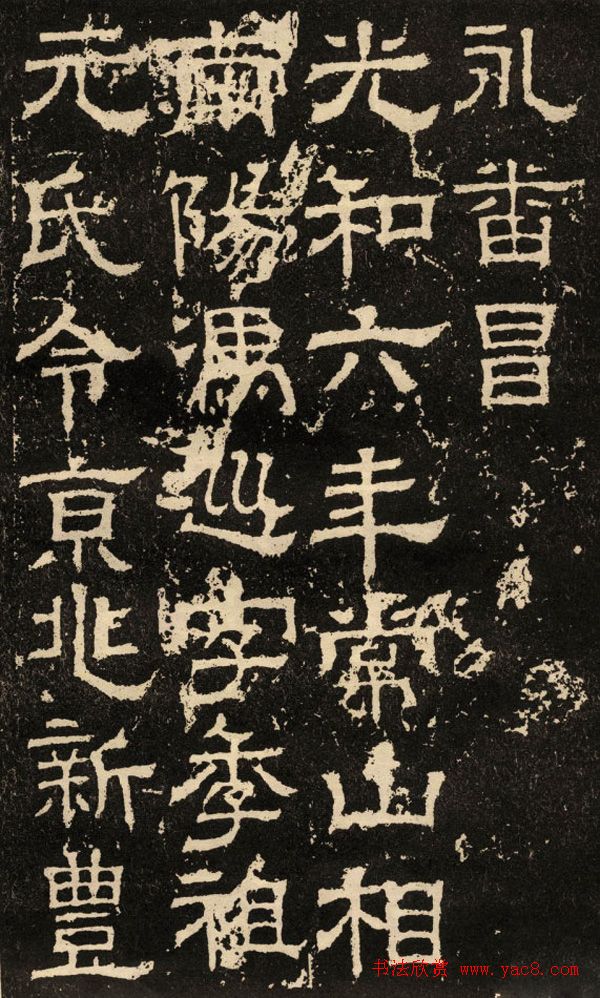 鱮̡ʯ