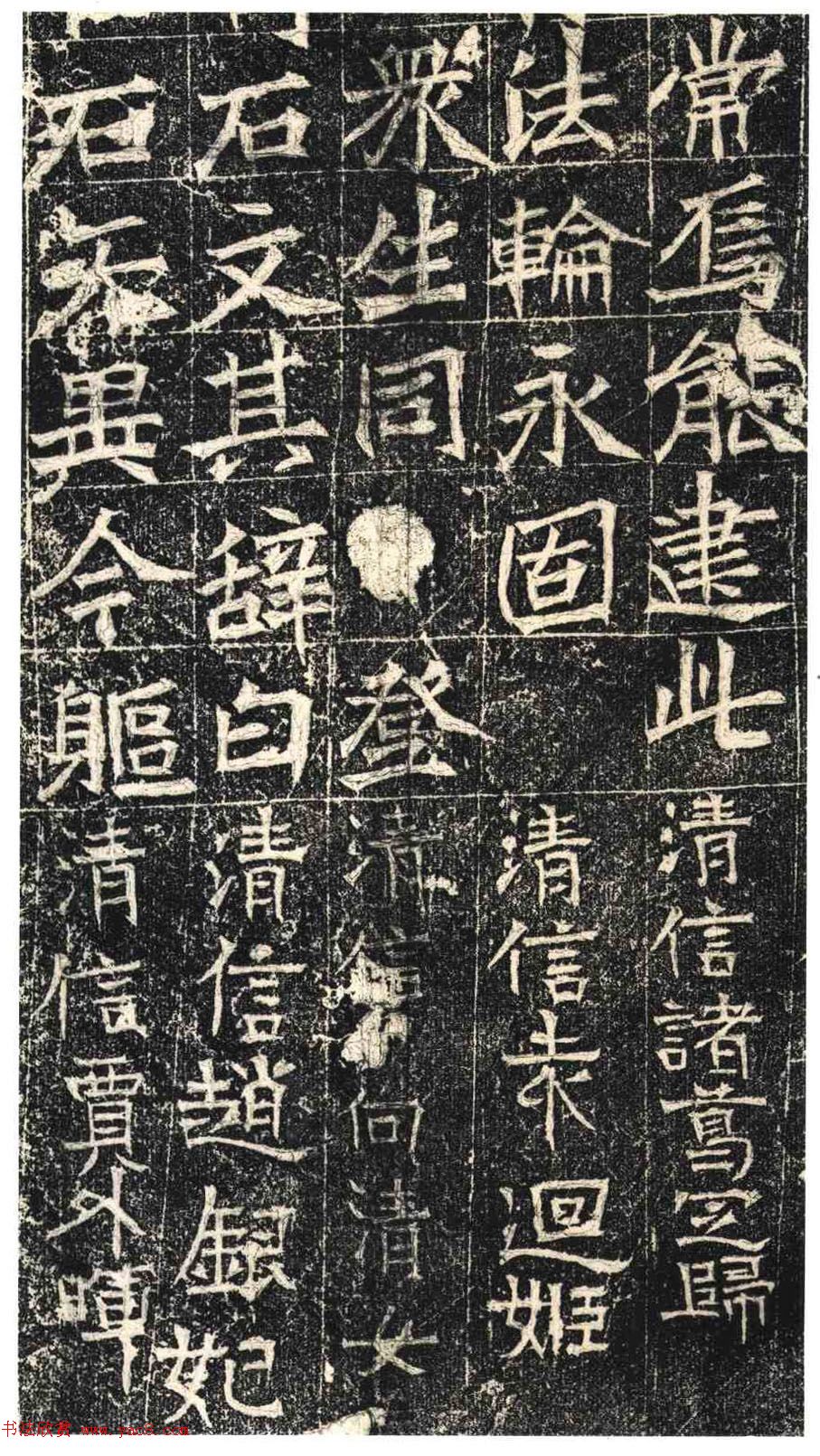 鷨Ȱǡ