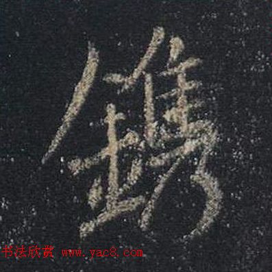 ֮鷨ľֻ浥