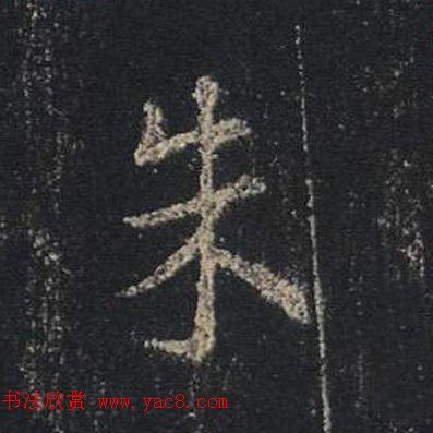 ֮鷨ľֻ浥