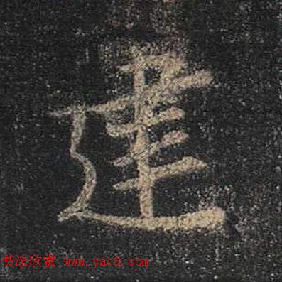֮鷨ľֻ浥