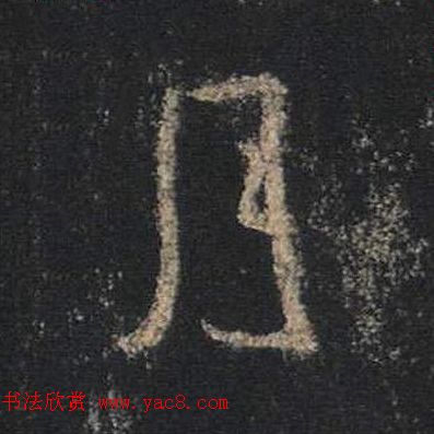 ֮鷨ľֻ浥