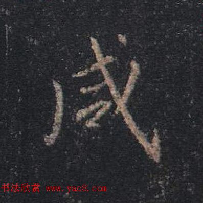 ֮鷨ľֻ浥