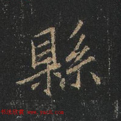 ֮鷨ľֻ浥