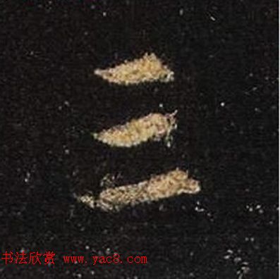 ֮鷨ľֻ浥